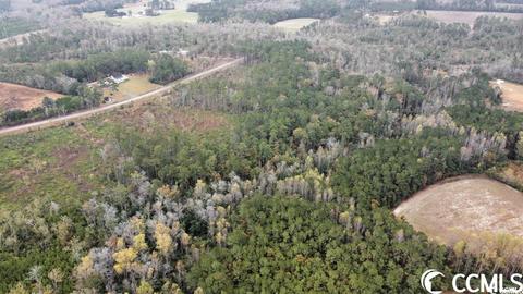 Tbd E Highway 19, Loris, SC 29569 photo 14