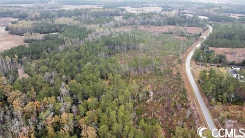 Tbd E Highway 19, Loris, SC 29569 photo 3