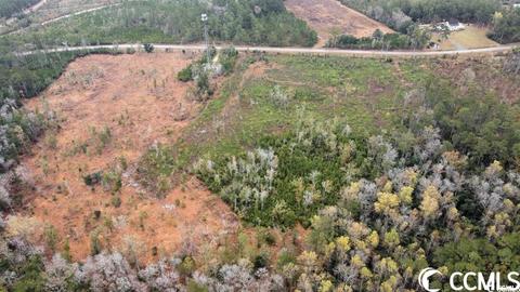 Tbd E Highway 19, Loris, SC 29569 photo 13