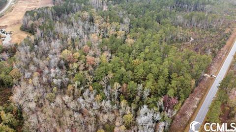 Tbd E Highway 19, Loris, SC 29569 photo 4