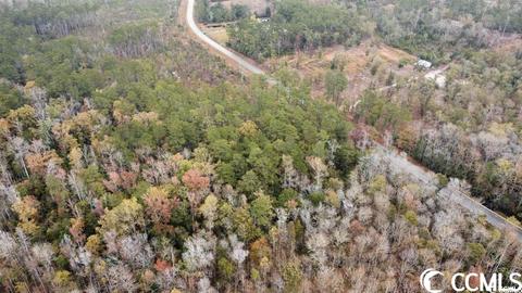 Tbd E Highway 19, Loris, SC 29569 photo 5