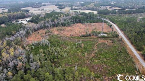 Tbd E Highway 19, Loris, SC 29569 photo 8