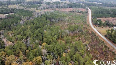 Tbd E Highway 19, Loris, SC 29569 photo 6