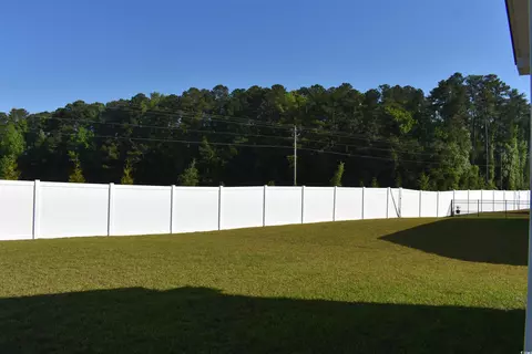 Exterior - 318 Box Elder Way, Longs, SC 29568 photo 6 of 9