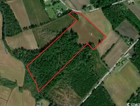 Tbd Norton Rd., Green Sea, SC 29545