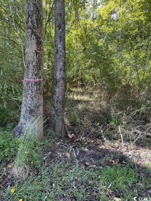 Tbd Highway 9 W, Loris, SC 29569