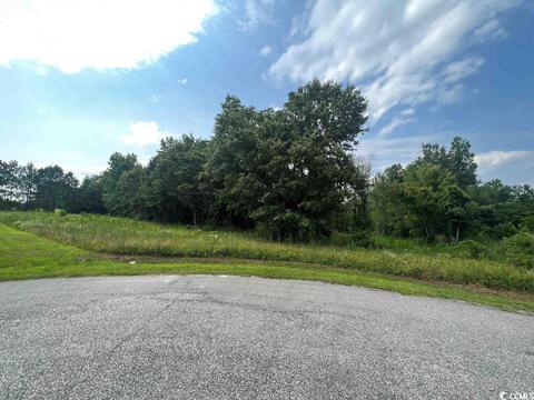 Tbd Ivy Creek Ct., Conway, SC 29527