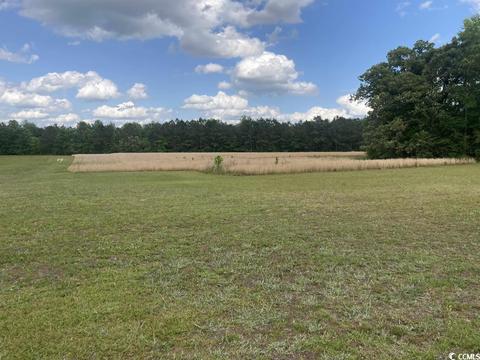 452 S Eaddy Ford Rd, Johnsonville, SC 29555