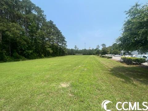 2325 Highway 9 E, Longs, SC 29568 photo 3