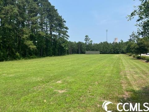 2325 Highway 9 E, Longs, SC 29568 photo 2