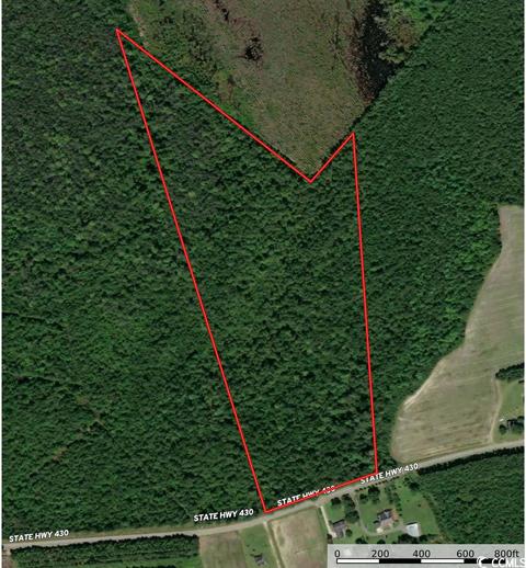 Tbd Highway 430, Nichols, SC 29581