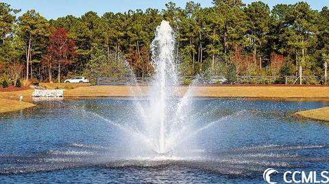 478 Calhoun Falls Dr, Myrtle Beach, SC 29579 photo 25