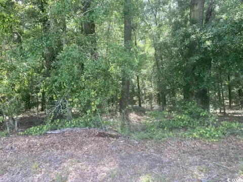 tbd Oliver Rd, Marion, SC 29571 photo 3