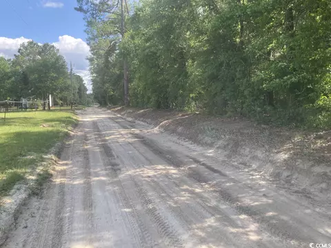 tbd Oliver Rd, Marion, SC 29571 photo 2