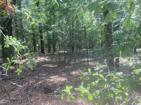 Tbd Oliver Rd., Marion, SC 29571