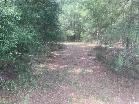 tbd Oliver Rd, Marion, SC 29571 photo 6