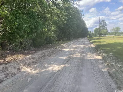tbd Oliver Rd, Marion, SC 29571 photo 4