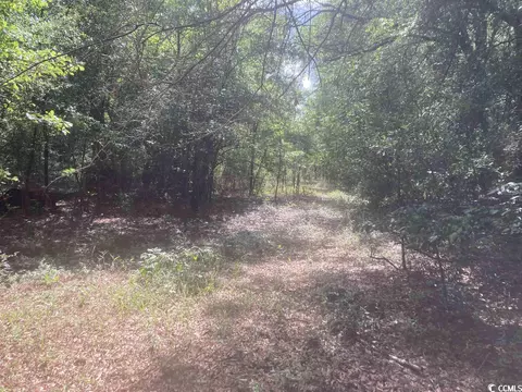 tbd Oliver Rd, Marion, SC 29571 photo 7