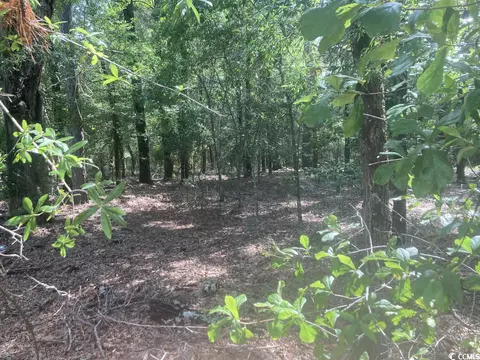 tbd Oliver Rd, Marion, SC 29571