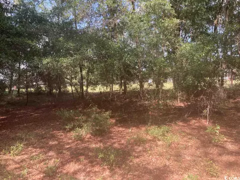 tbd Oliver Rd, Marion, SC 29571 photo 8