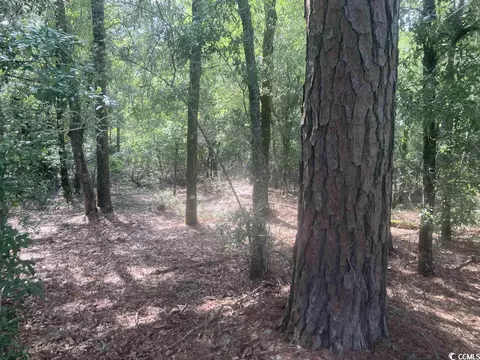 tbd Oliver Rd, Marion, SC 29571 photo 5
