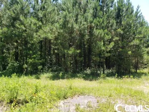 Tbd Highway 905, Loris, SC 29569