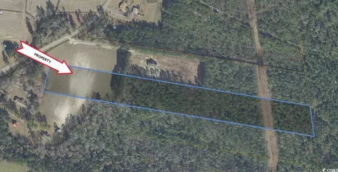 Tbd Highway 712, Galivants Ferry, SC 29544