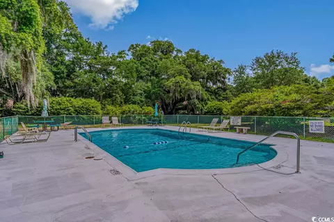 80 Bamboo Loop #172, Georgetown, SC 29440 photo 39