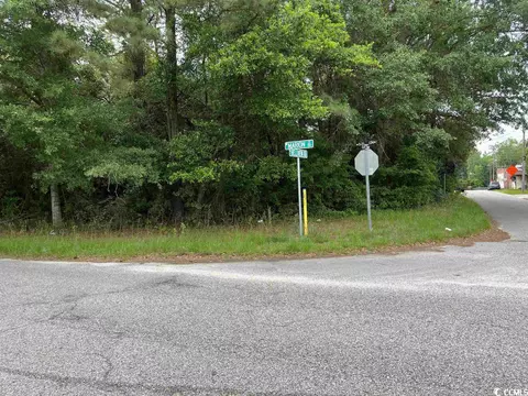 Tbd W Marion St., Johnsonville, SC 29555