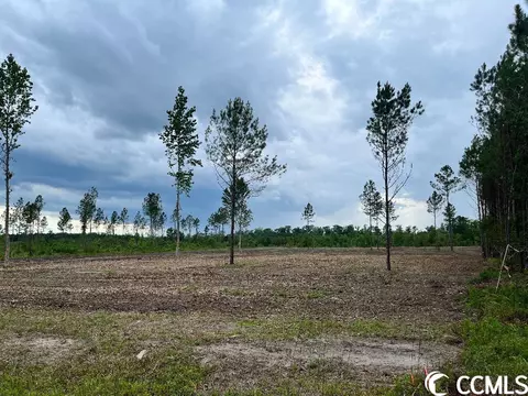 Highway 66, Loris, SC 29569
