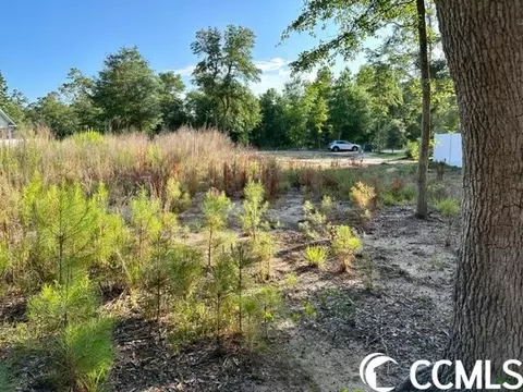 1570 Old Tram Rd, Little River, SC 29566