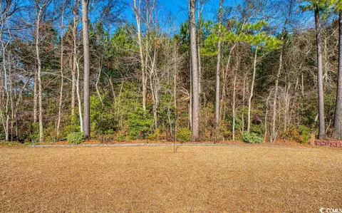 595 Mossbank Loop, Longs, SC 29568 photo 35