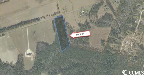 Tbd Pauley Swamp Rd., Conway, SC 29527