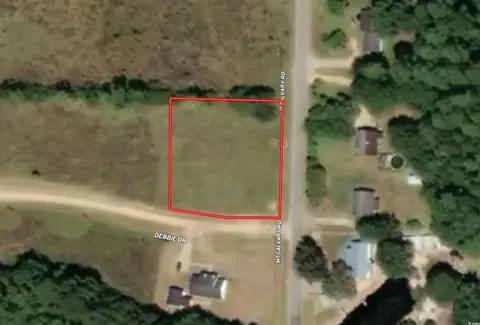 tbd Mount Calvary Rd, Dillon, SC 29536 photo 5