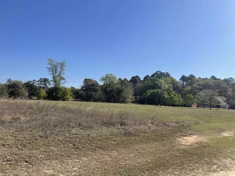 tbd Mount Calvary Rd, Dillon, SC 29536 photo 7