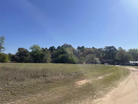 tbd Mount Calvary Rd, Dillon, SC 29536 photo 6