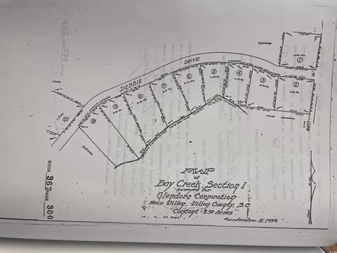 tbd Mount Calvary Rd, Dillon, SC 29536 photo 2