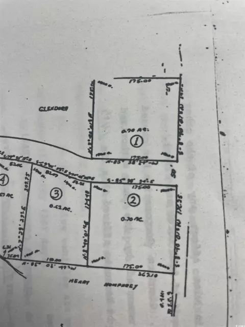 tbd Mount Calvary Rd, Dillon, SC 29536 photo 3