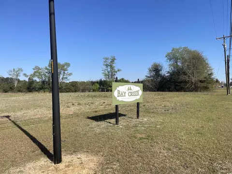 tbd Mount Calvary Rd, Dillon, SC 29536