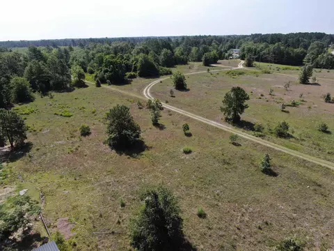 tbd Pee Dee Church Rd, Dillon, SC 29536 photo 6