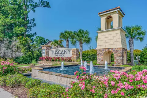 324 Firenze Loop, Myrtle Beach, SC 29579 photo 36