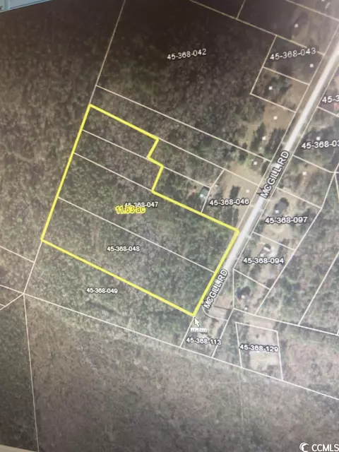 1 Mcgill Rd, Hemingway, SC 29554