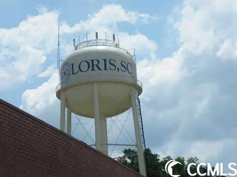 Lot 2 Main St., Loris, SC 29569 photo 16