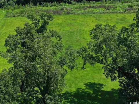 Lot 2 Main St., Loris, SC 29569 photo 8