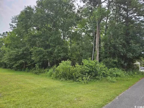 Tbd Elizabeth Dr., Georgetown, SC 29440