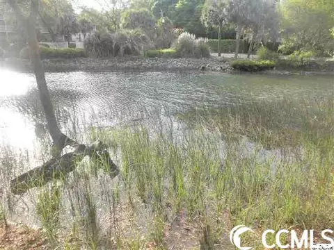 35 Gasparilla Cir, Murrells Inlet, SC 29576