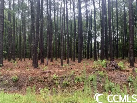 119 Country View Ct, Little River, SC 29566