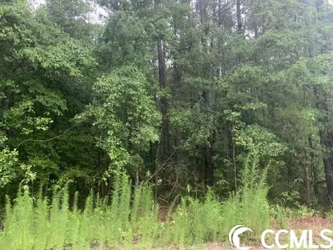 127 Country View Ct, Little River, SC 29566