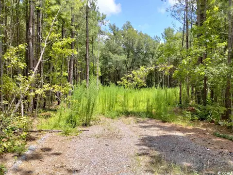 Tbd Powell Rd., Georgetown, SC 29440 photo 5