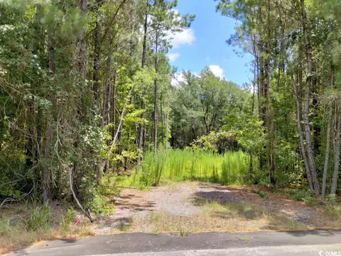 Tbd Powell Rd., Georgetown, SC 29440